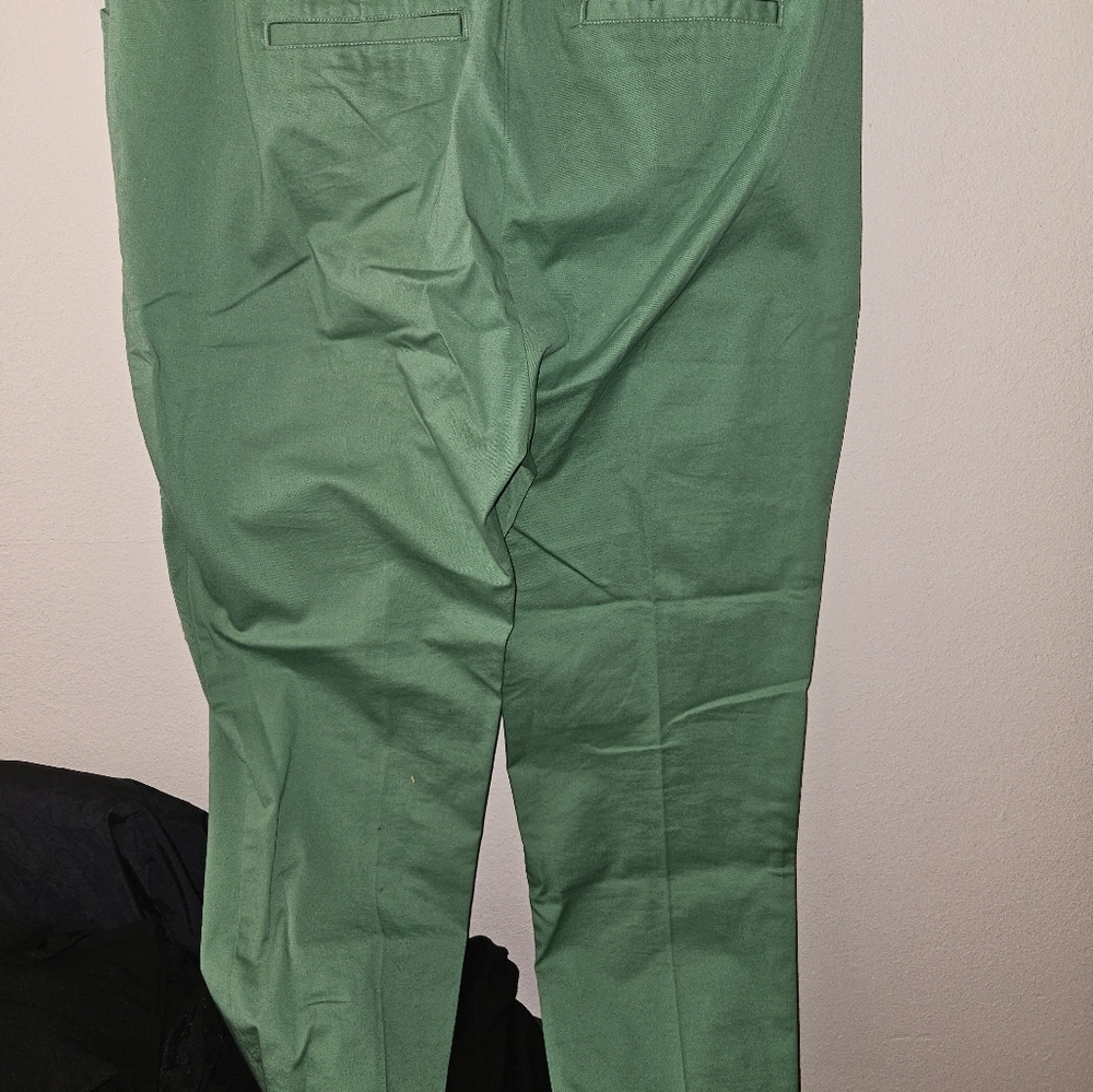 Lands End Womans Green Mid Rise Slim Leg Pants Size 16T - Picture 7 of 13